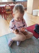 ilustracja do wpisu 
Jesienna ścieżka sensoryczna