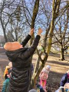 ilustracja do wpisu 
Dokarmianie ptaków