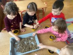 ilustracja do wpisu 
Owies- symbol życia i odrodzenia!