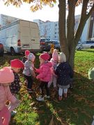 ilustracja do wpisu 
Zbieramy liście kasztanowca!