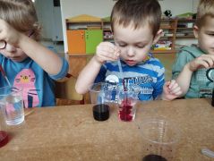 ilustracja do wpisu 
Poznajemy rośliny