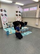 ilustracja do wpisu 
„Puchata Radość”