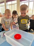 ilustracja do wpisu 
Zabawy badawcze „Co pływa, a co tonie?”