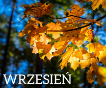 ilustracja do wpisu 
Tematyka na miesiąc wrzesień