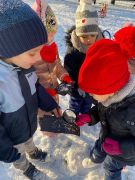 ilustracja do wpisu 
Śnieg- co to jest?