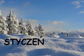 ilustracja do wpisu 
Tematyka na miesiąc styczeń