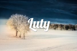 ilustracja do wpisu 
Tematyka na miesiąc luty