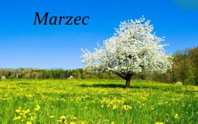 ilustracja do wpisu 
Tematyka na miesiąc marzec