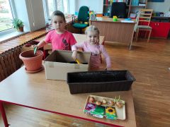 ilustracja do wpisu 
Zielony ogródek w naszej sali