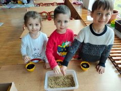 ilustracja do wpisu 
Wielkanocny owies