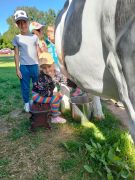 ilustracja do wpisu 
Wycieczka do Majątku Howieny