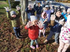 ilustracja do wpisu 
Ratujmy kasztanowce