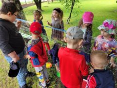 ilustracja do wpisu 
"Podwórko sztuki- kwietna łąka dla pszczół"