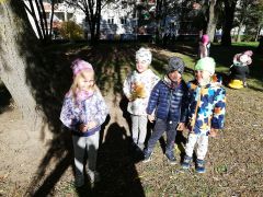 ilustracja do wpisu 
W jesiennym słońcu