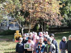 ilustracja do wpisu 
Święto Drzewa