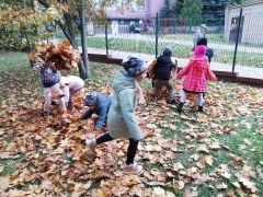 ilustracja do wpisu 
Lecą, lecą liście