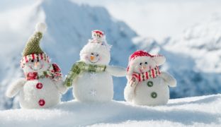 ilustracja do wpisu 
Tematyka na miesiąc styczeń