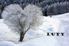 ilustracja do wpisu 
Tematyka na miesiąc luty