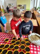 ilustracja do wpisu 
Ogródek na parapecie