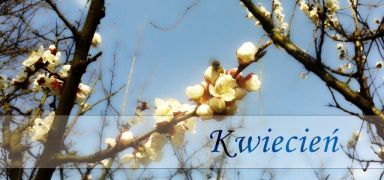 ilustracja do wpisu 
Tematyka tygodniowa w miesiącu kwiecień