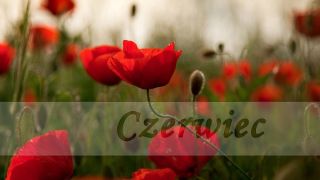 ilustracja do wpisu 
Tematyka tygodniowa w miesiącu czerwiec