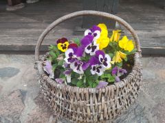 ilustracja do wpisu 
"MALOWANE WROTA" W ŁAZACH MAŁYCH