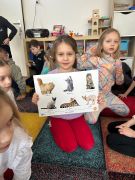 ilustracja do wpisu 
Koty, kotki, koteczki