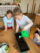 ilustracja do wpisu 
Wiosenny ogródek na parapecie