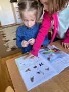 ilustracja do wpisu 
Policz wyrazy w zdaniu