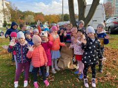 ilustracja do wpisu 
Ratujmy kasztany