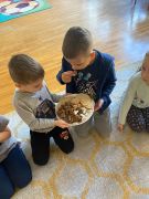 ilustracja do wpisu 
Od ziarenka do chleba- inkubator edukacji