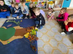 ilustracja do wpisu 
Czym się żywią drzewa?-inkubator edukacji