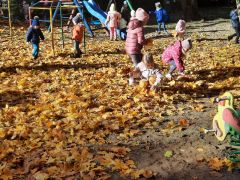 ilustracja do wpisu 
W jesiennym słońcu