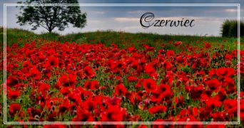 ilustracja do wpisu 
Tematyka na miesiąc czerwiec