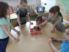 ilustracja do wpisu 
Tajemnice wulkanów