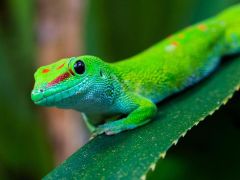 ilustracja do wpisu 
Odwołanie warsztatów