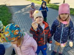 ilustracja do wpisu 
Akcja "Czysty Białystok"