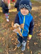 ilustracja do wpisu 
Akcja "Ratujemy białostockie kasztanowce"