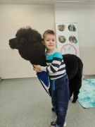 ilustracja do wpisu 
Warsztaty "Puchata Radość"