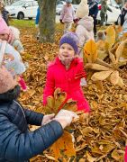 ilustracja do wpisu 
"Ratujemy białostockie kasztanowce"